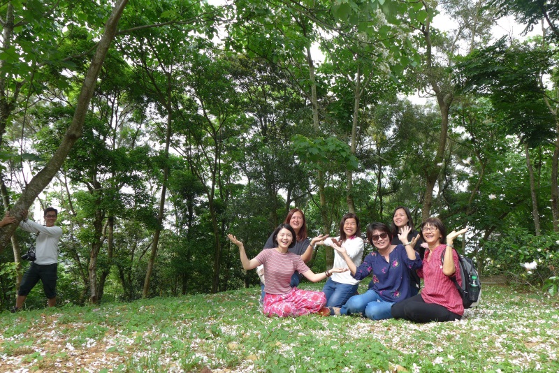 台湾客家桐•趣•游·桐花漫舞·体验客家风情