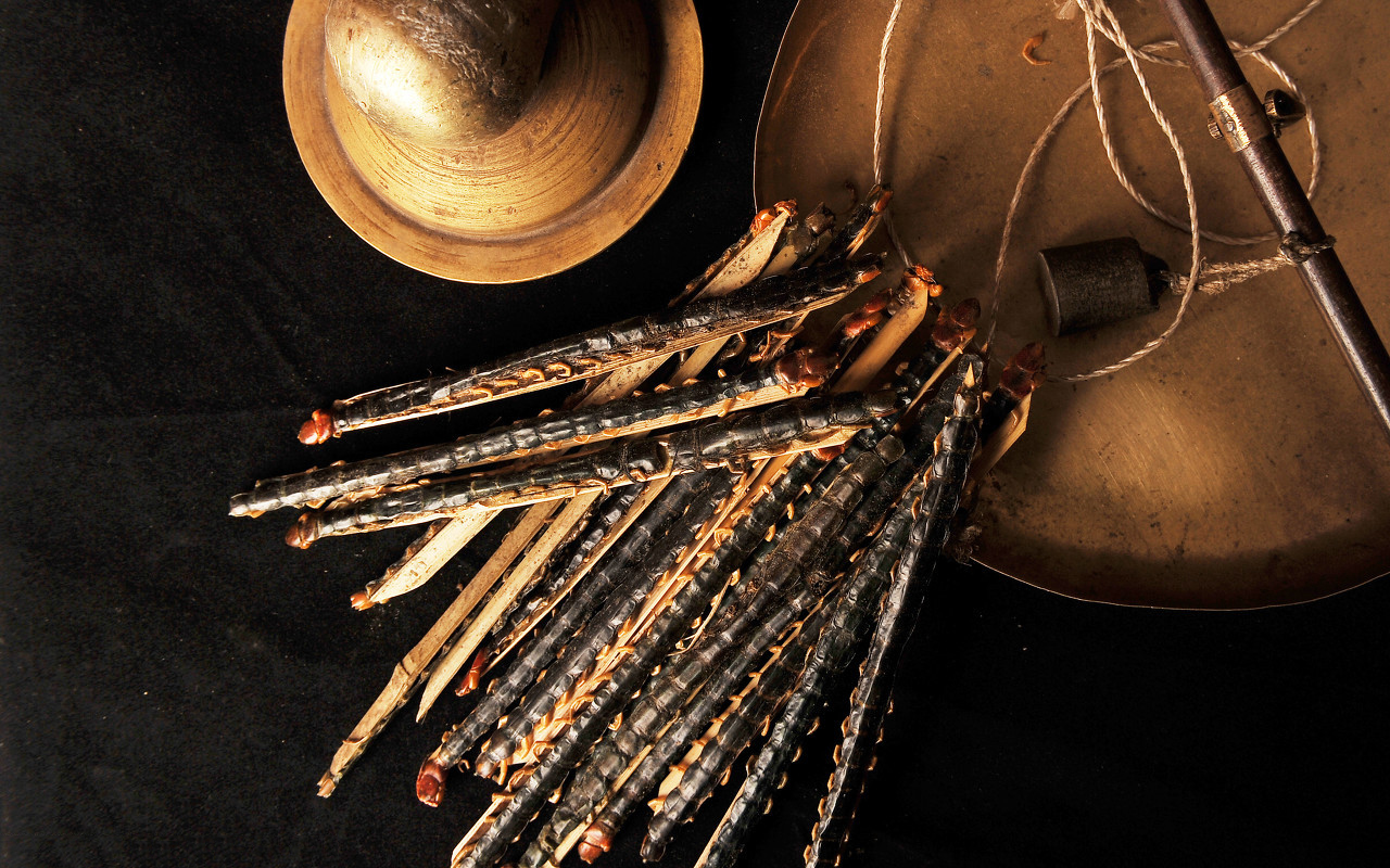 没有什么比细心照顾小孩的妈妈更暖心的了──即使它是一条蜈蚣