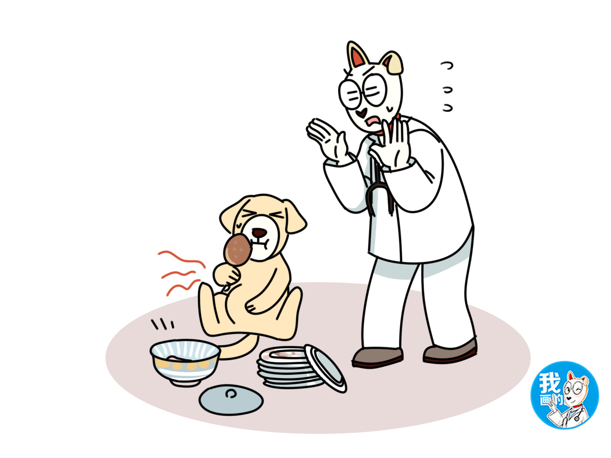 狗狗得了细小主人治病视频,狗狗易患的疾病铲屎官养犬须知