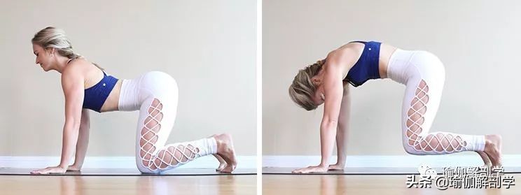 不伤腰瑜伽初级教程在家练,侧腰部练习的瑜伽初学者