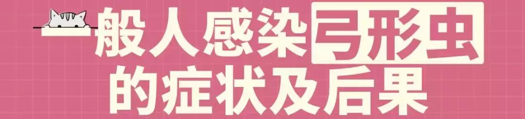 怀孕了还是想养猫猫狗狗怎么办?华西专家:可以养,但绝不能随便养!