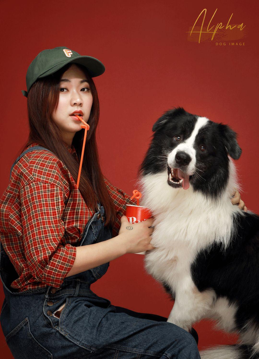 Pick到一家宝藏「宠物写真馆」!福利已谈好,铲屎官快冲鸭