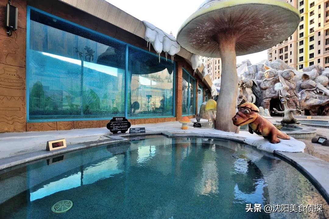 沈阳欧亚菲温泉水乐园,沈阳最大的淘气堡温泉
