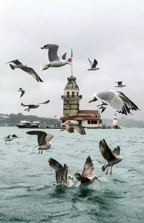 送给实在没有心眼的自己,没脑子没心眼心太软