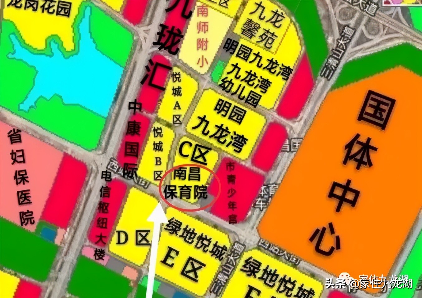 九龙湖附近幼儿园有哪些,九龙湖悦美滨江幼儿园