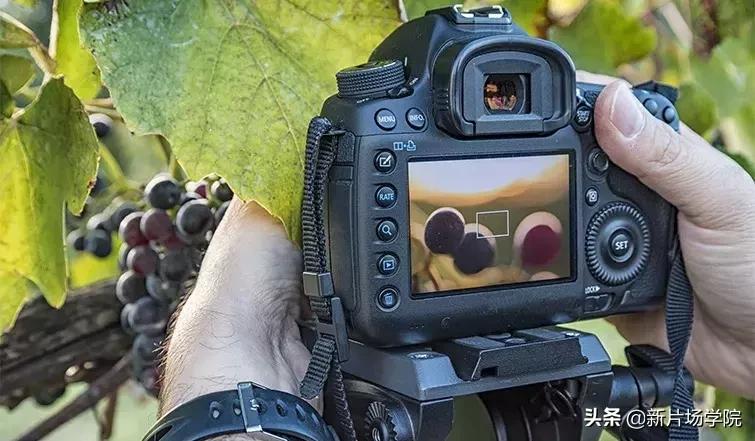 摄影拍照技巧与教程,从拍照到摄影轻松升级的诀窍