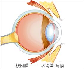 眼皮松弛下垂最好锻炼方法,眼皮松弛下垂最好按摩方法