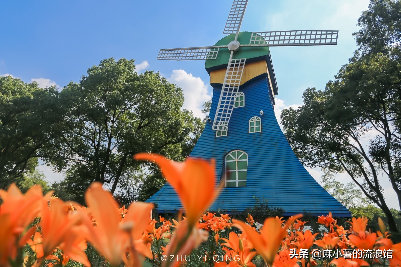 无锡梅园不只能赏梅，初秋近万亩百合花海盛放，小姐姐直呼太美了