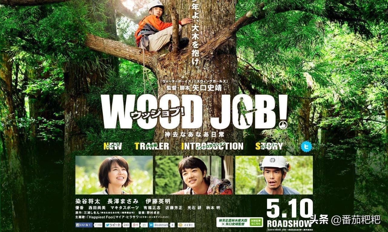 夏天来了美食合集,夏天来了好吃的东西