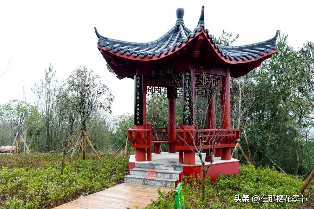 马祖岩人文公园大概多少公里,马祖岩人文公园夜光路