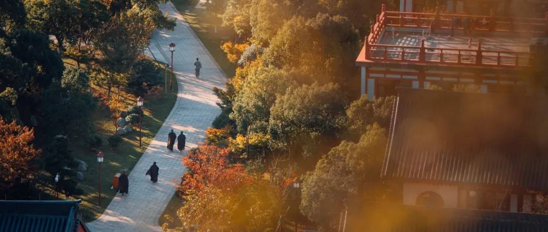 舟山副市长方维,5月23日在驴妈妈直播间带你“舟游列岛gou”!