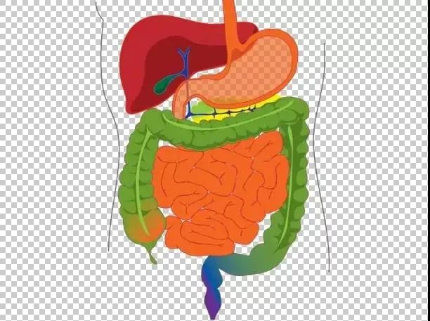 张文宏少吃碳水,张文宏少吃粥完整版
