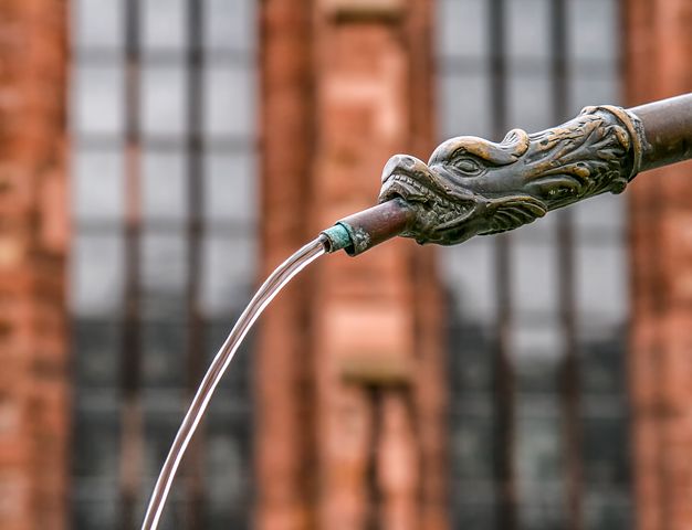 温阳下焦的穴位,温阳化湿针灸穴位