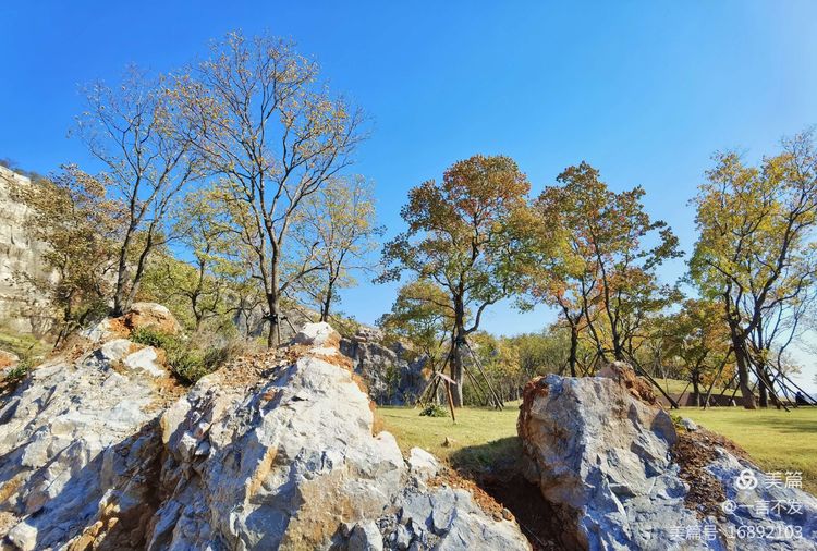 秋之旅免费完整版,秋之旅风景图片