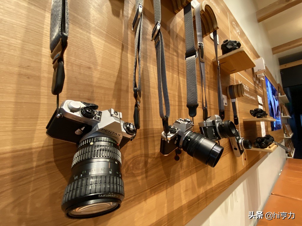 旧金山旅行指南,玩转旧金山