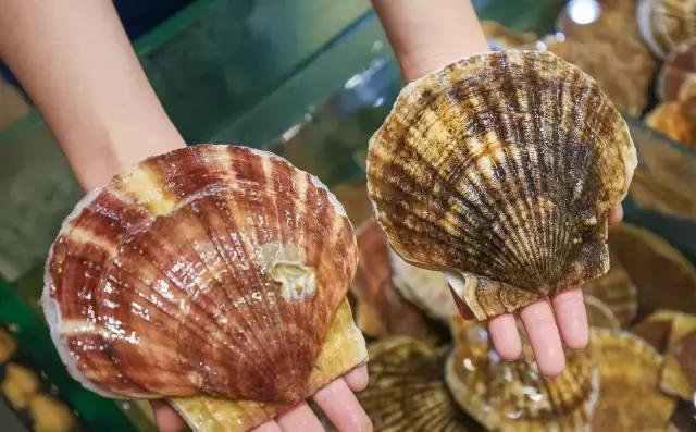 汕尾人吃海鲜,原来海边人是这样吃海螺的