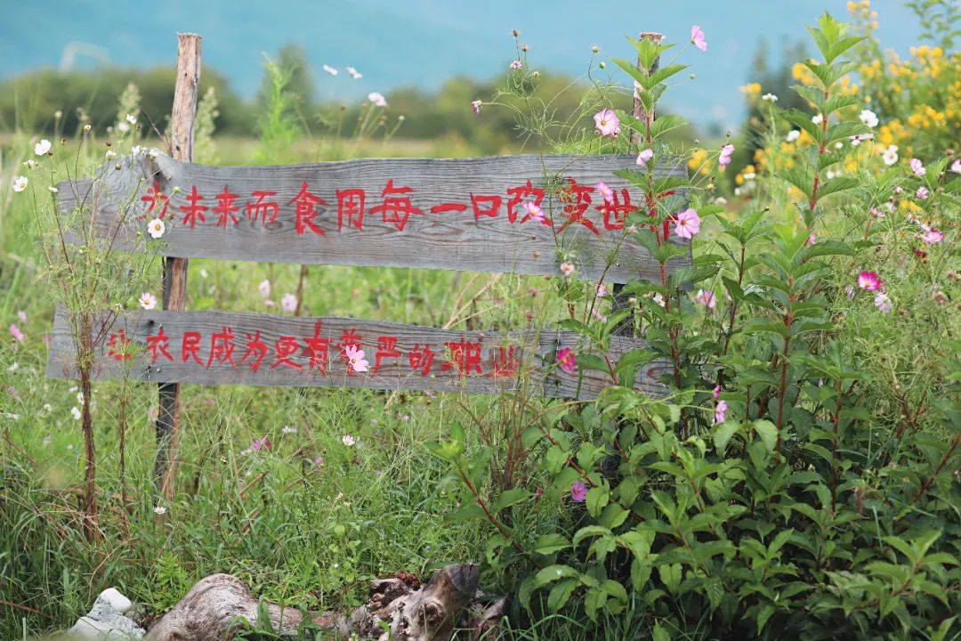 东北哈尔滨夫妻,一对夫妻打造云南的家