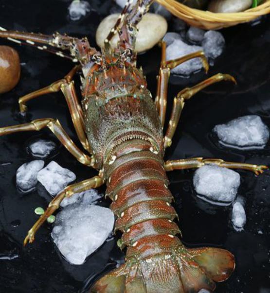 刀鱼从60块钱一斤，跌至3块钱一斤，消费者：再便宜也买不起