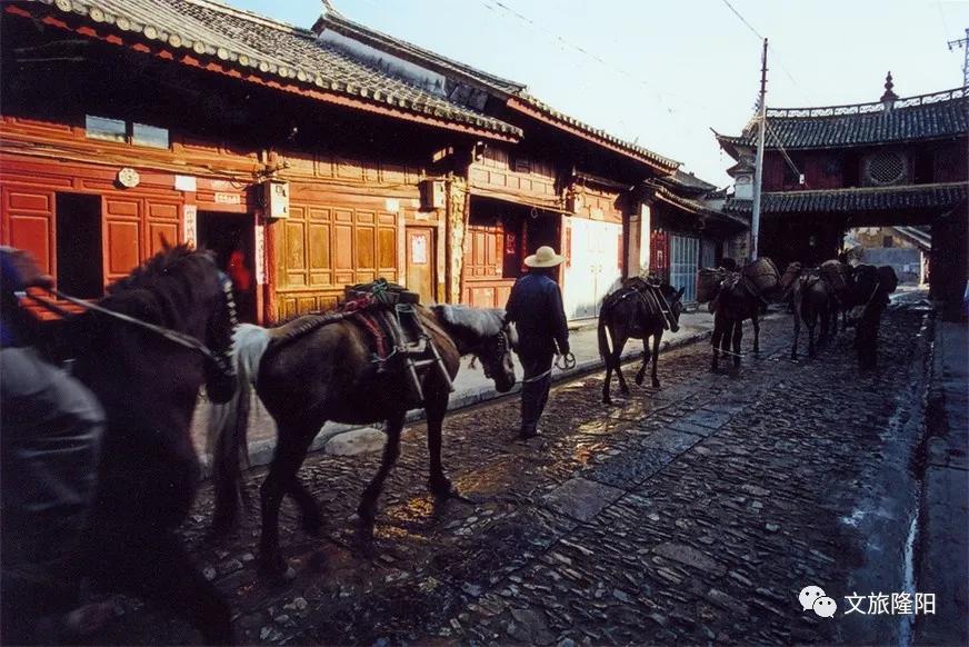 青龙街游玩地图已更新！一起去解锁新玩法吧~