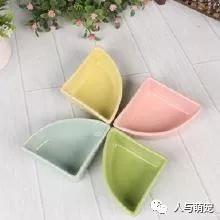 怎么饲养仓鼠要注意什么,饲养仓鼠的注意事项都有哪些