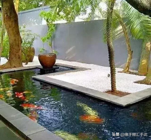 新鱼转水顺序图解,新鱼转塘