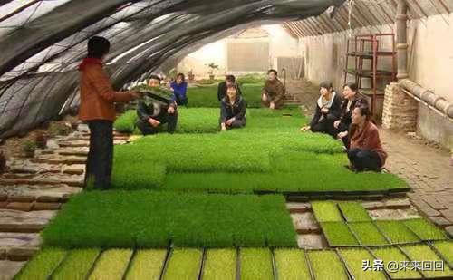 小伙不想上班靠什么赚钱,不想打工了返乡创业做什么比较好