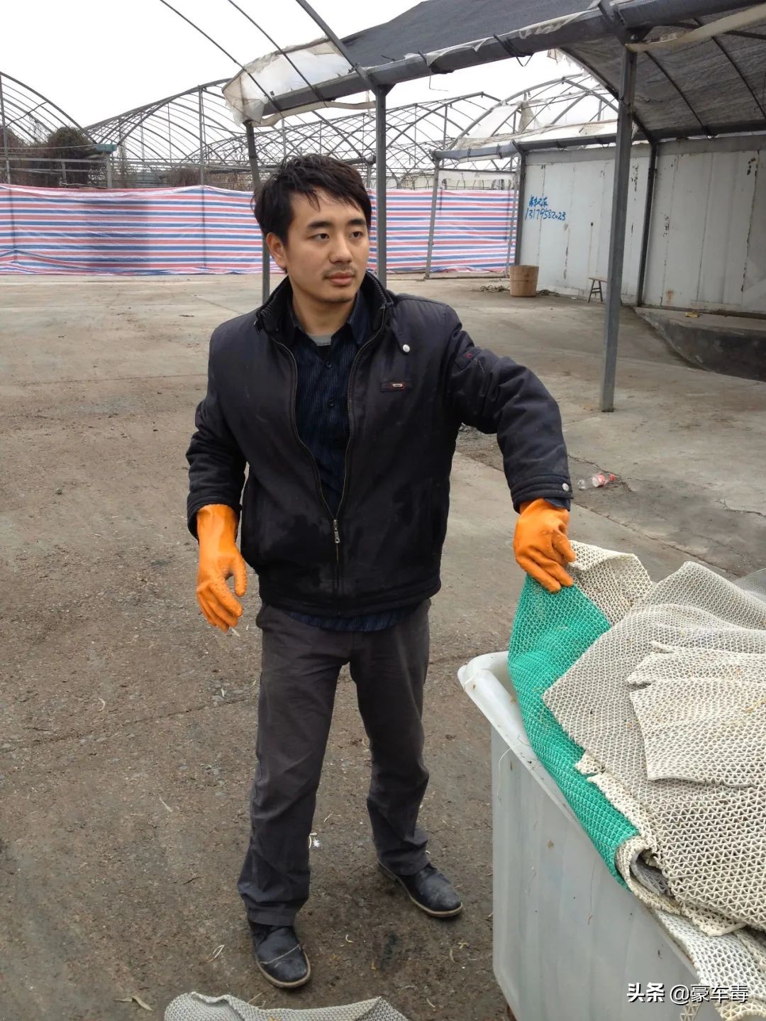 豪车毒老纪考斯特,豪车毒老纪小跟班