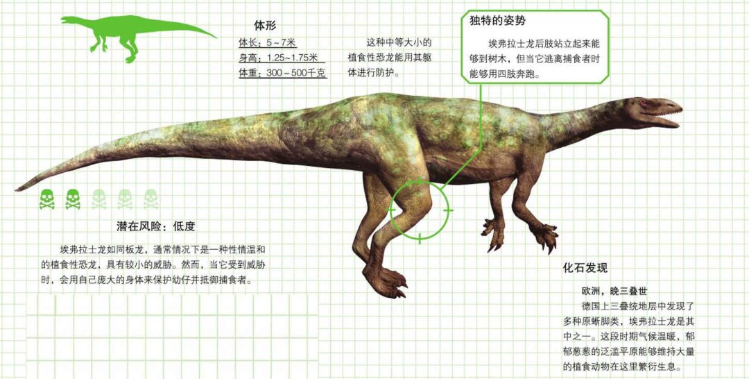 三叠纪晚期肉食恐龙,三叠纪的恐龙有哪些图片