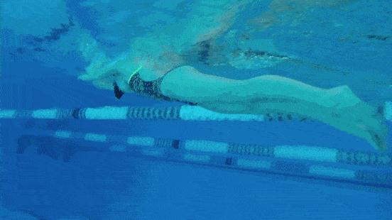 游泳练习蛙泳腿疼,蛙泳膝盖疼学其他泳姿