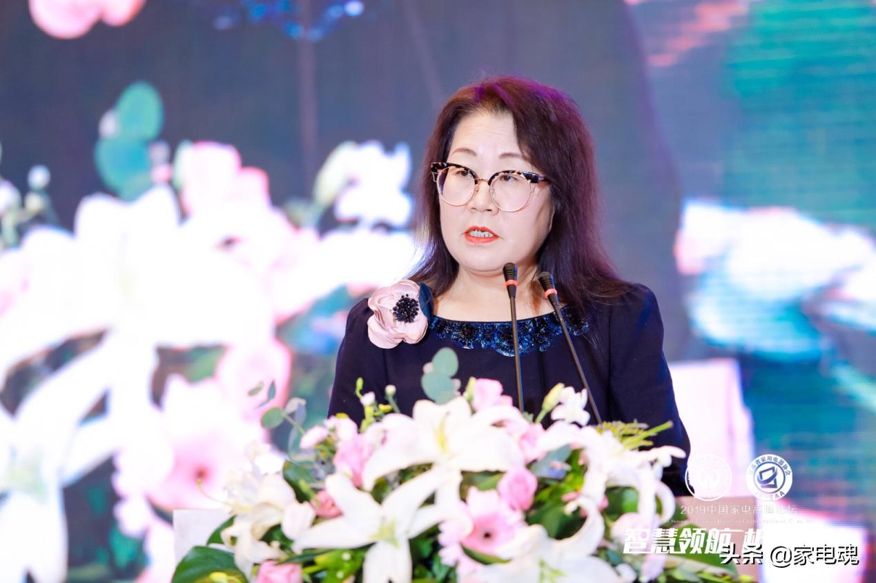 智慧领航相融共生2019中国家电高峰论坛在宁举行