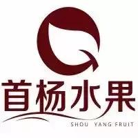 中国十大水果连锁品牌,海丰百果园水果连锁