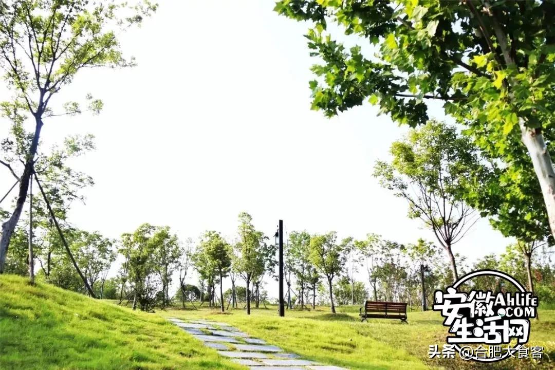 2020年，在这50个地方遇见不一样的合肥