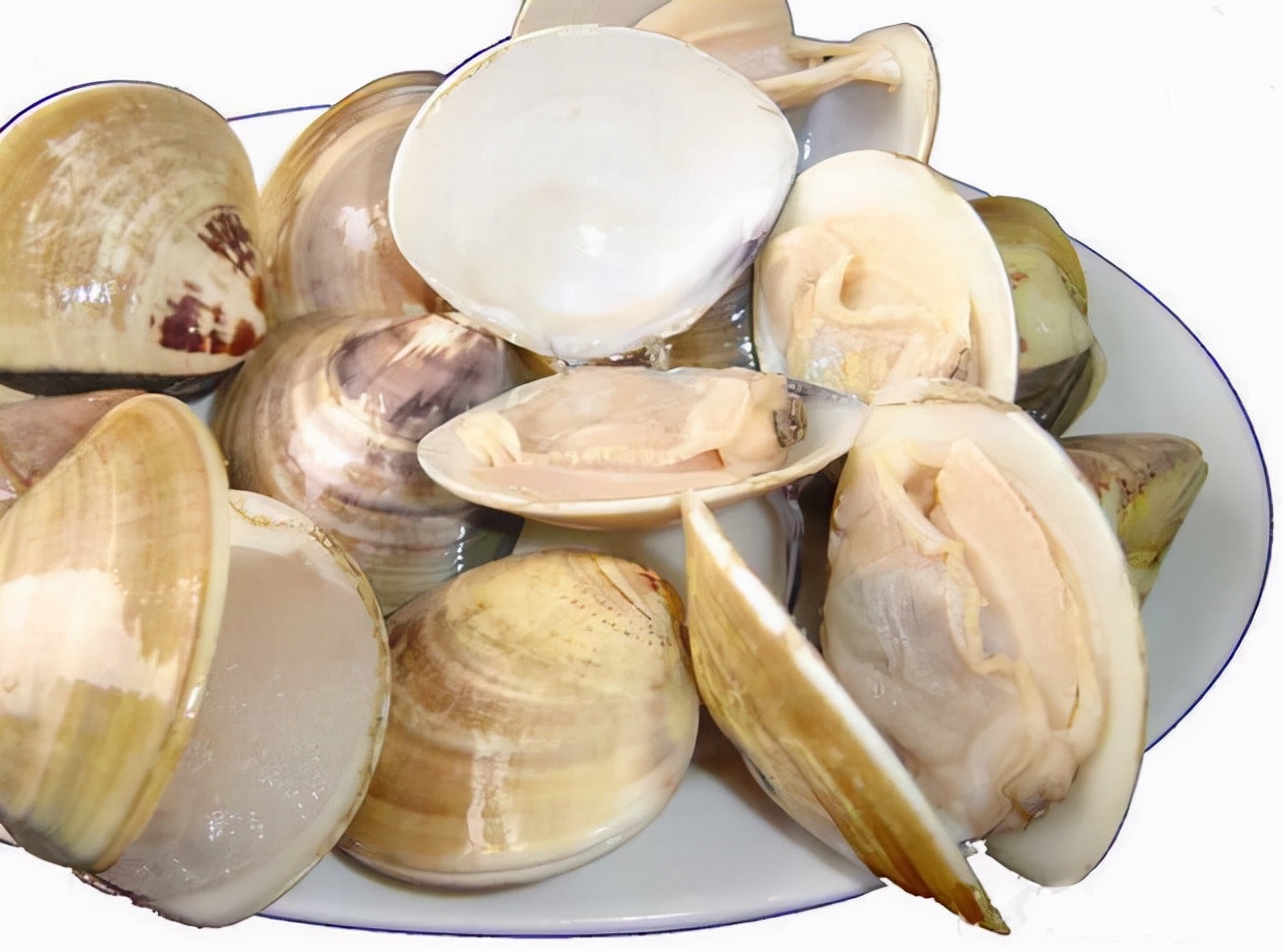 青黛+蛤壳,妙用可软坚散结,清肝利肺,降逆除烦,建议收藏