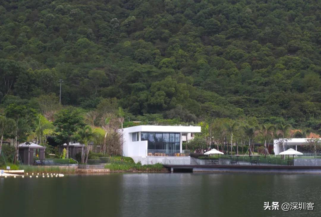 安藤忠雄的青苹果里，藏着湾区的“桃花源”