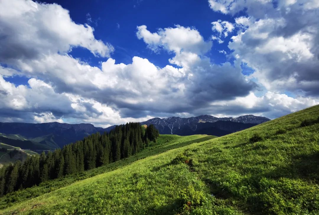 伊犁最美的50处绝色美景,伊犁最美的小众景点