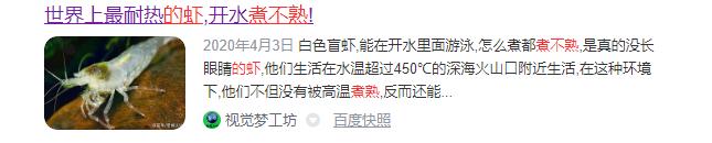 这种虾能够在高温的火山口游泳，号称煮不熟的虾