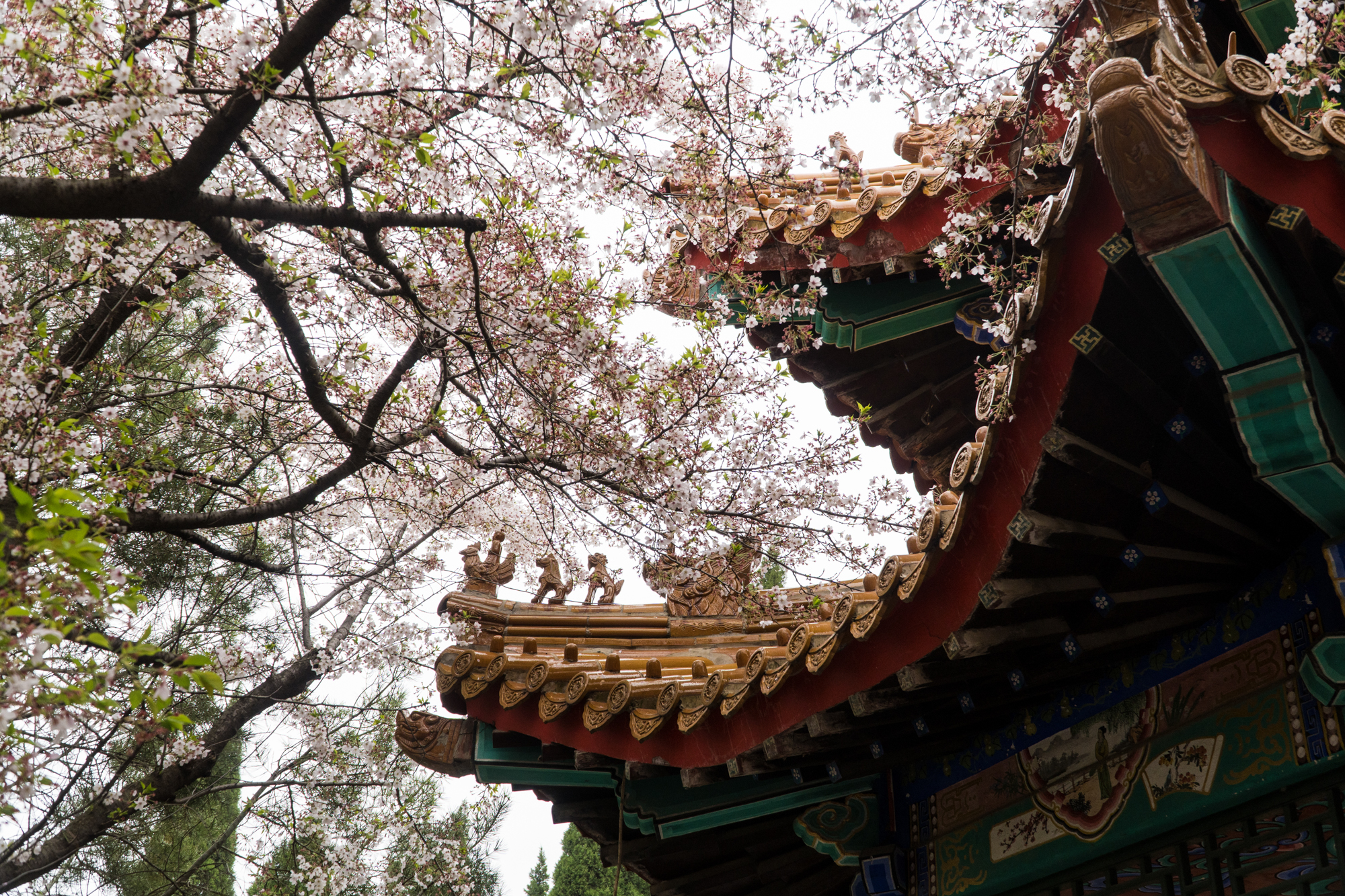 徐州周末郊游的好地方,徐州自然风光好去处