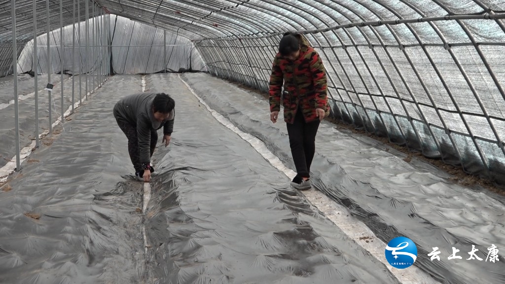 决战决胜脱贫攻坚产业扶贫,脱贫攻坚致富之路