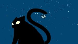 罗小黑怎么抽,罗小黑全部教程