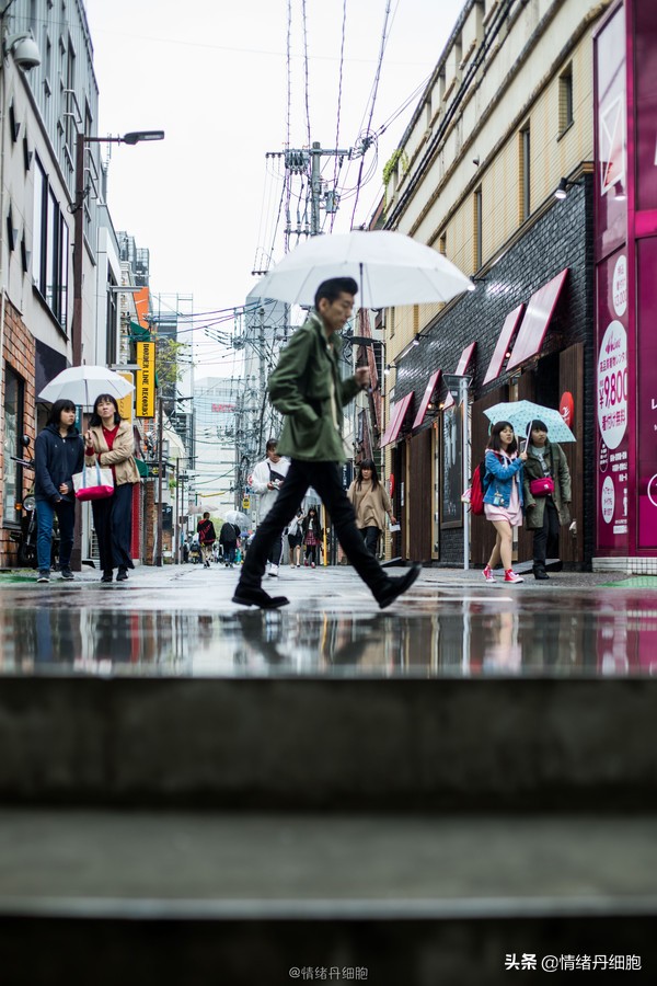 邮轮游选择哪个游轮好,邮轮旅游全攻略公主号