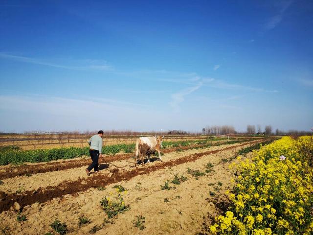 手拍世界手机摄影平台,手拍世界摄影平台