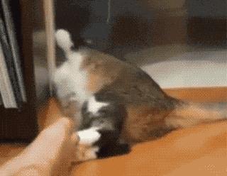 emmm...你的脚好像有点臭