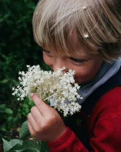 她放弃城市生活,一家人搬到乡下田园:自给自足