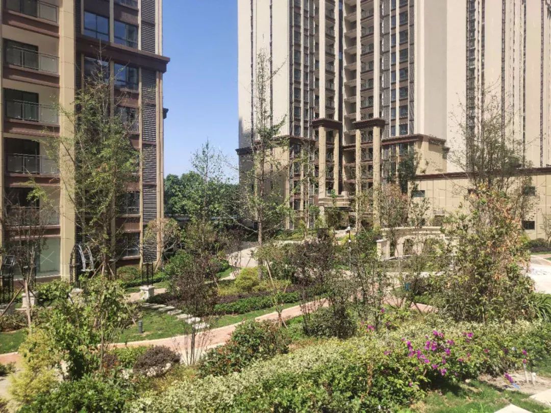 绵阳长兴星城最新视频,2019长兴星城二期价格