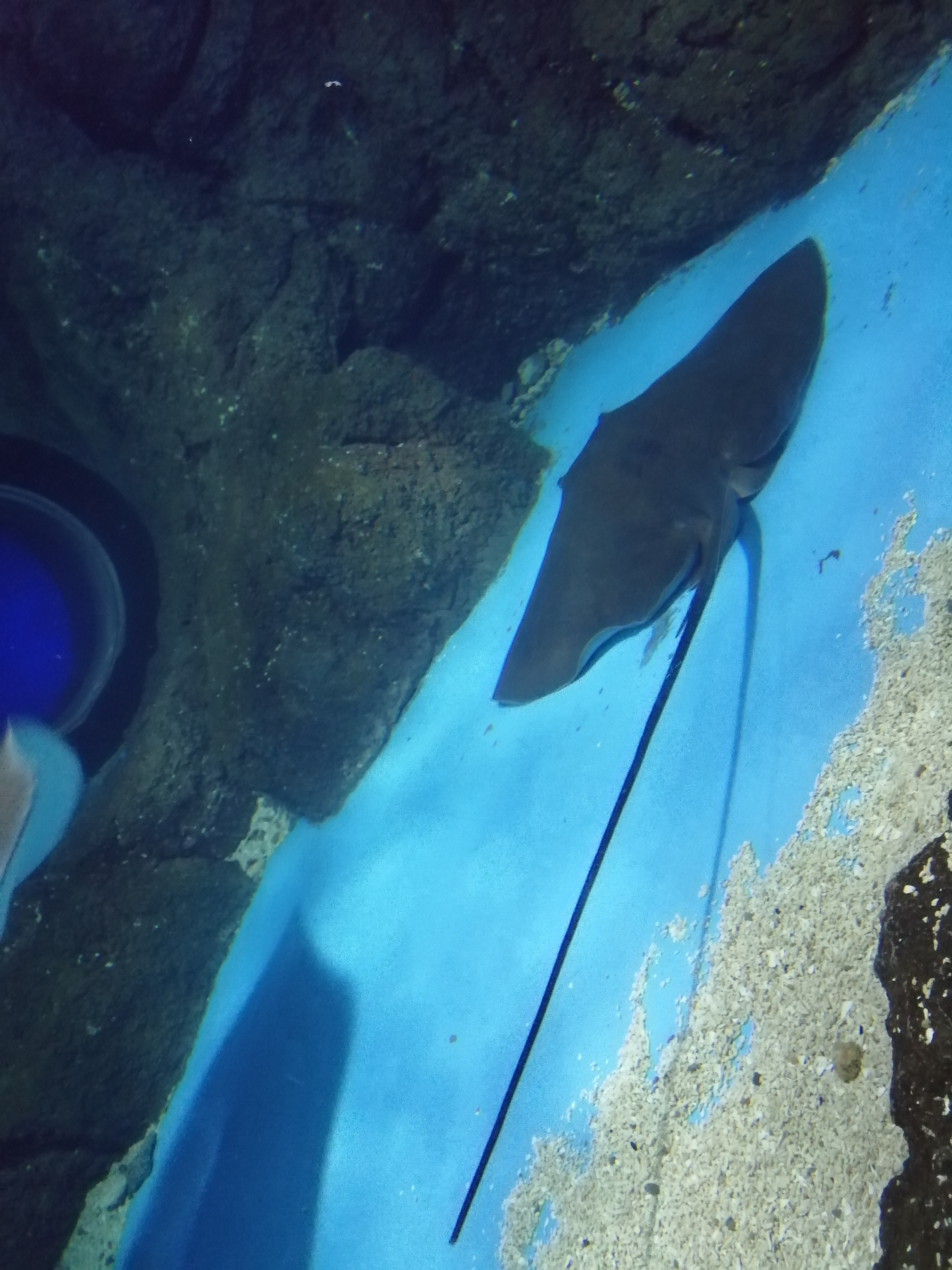 常州金鹰海洋世界19.9元,常州金鹰海洋世界开业