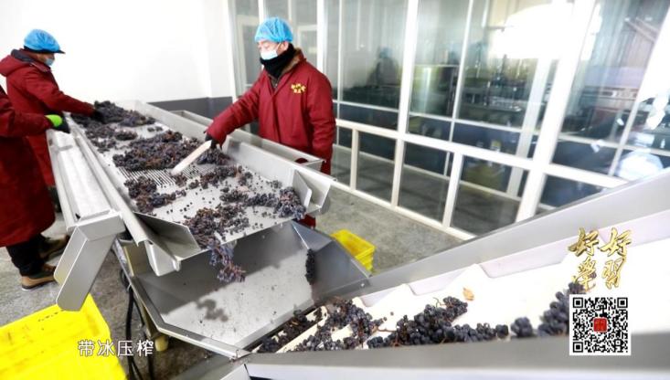 东北人才懂,东北人才懂的味道