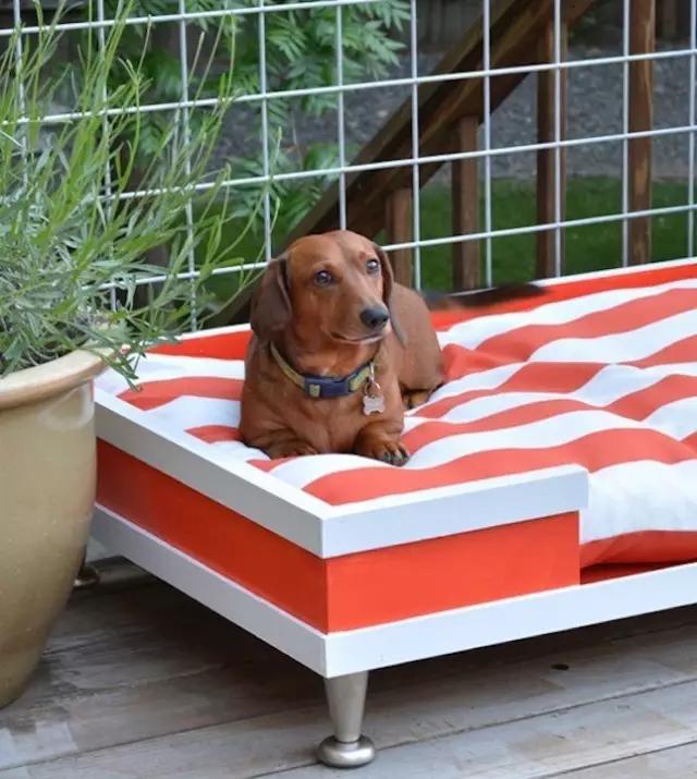 自制宠物狗窝简单,旧衣服怎么给狗狗做个窝