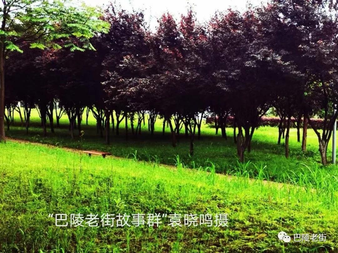 最后的驿站,火葬场人生最后的驿站