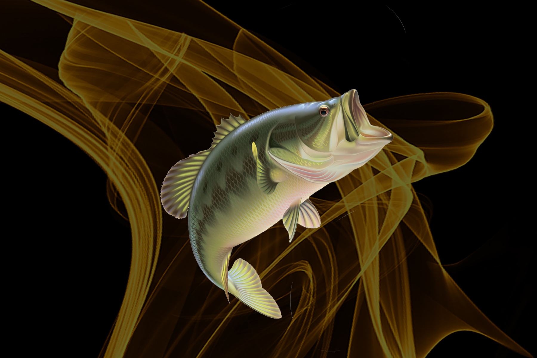 野钓鲤鱼怎么调钓防止跑鱼,为什么钓鲤鱼老是切线