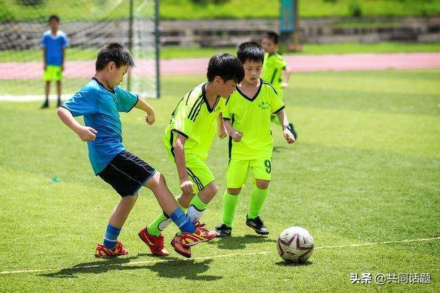 承包篮球球场如何盈利,球场私自收费